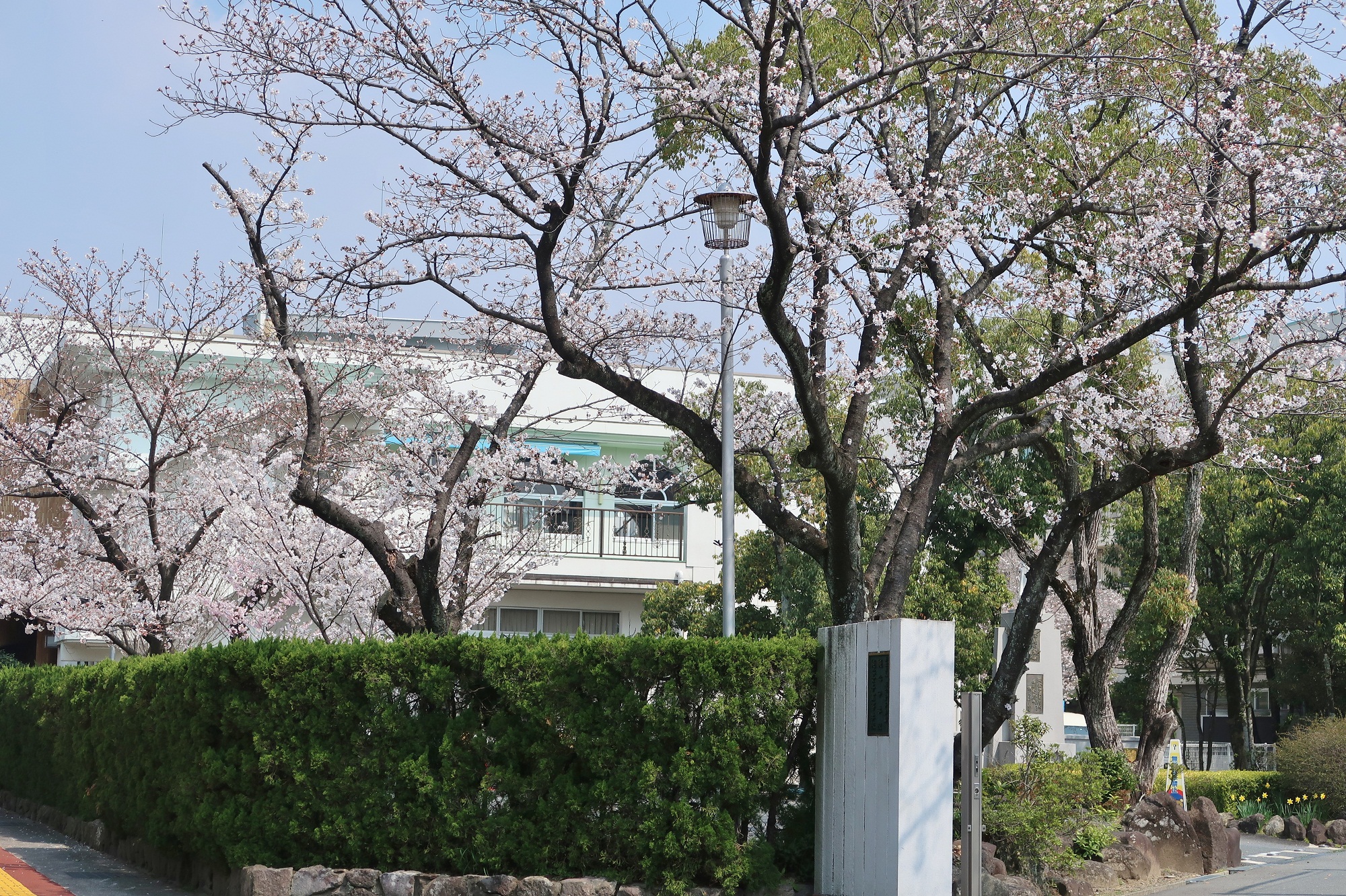 純心女子高等学校校内画像